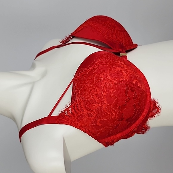 ⭐️2/ $40⭐️La Senza Beyond Sexy Classic Plunge Red Lace Push Up Bra 36DD - Picture 1 of 13